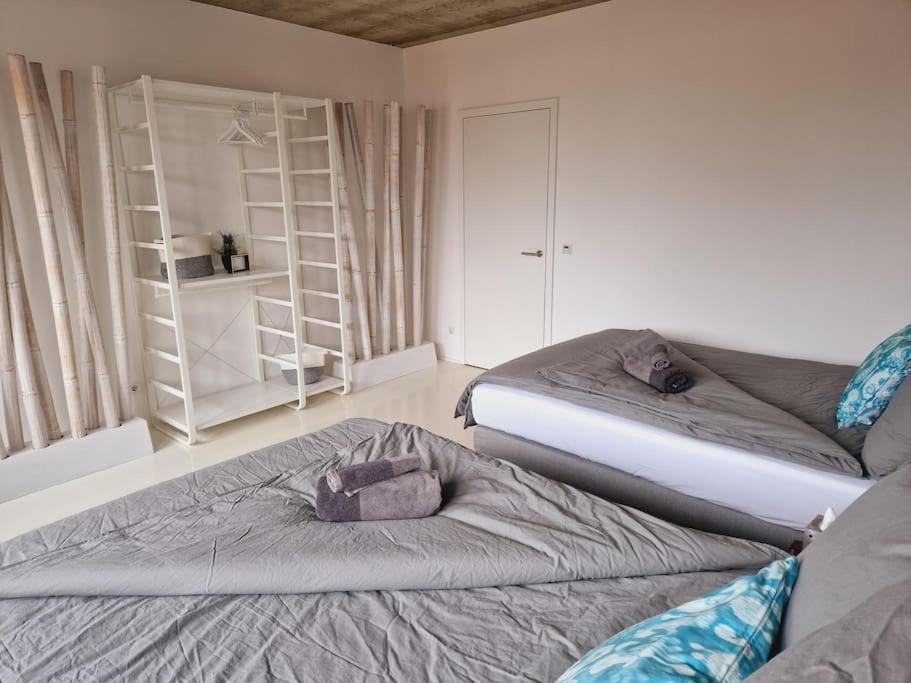 Exklusives Design-penthouse Mc1 Apartment
